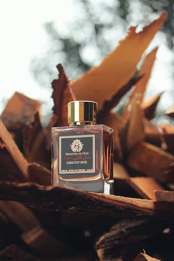 MINISTRY OF OUD