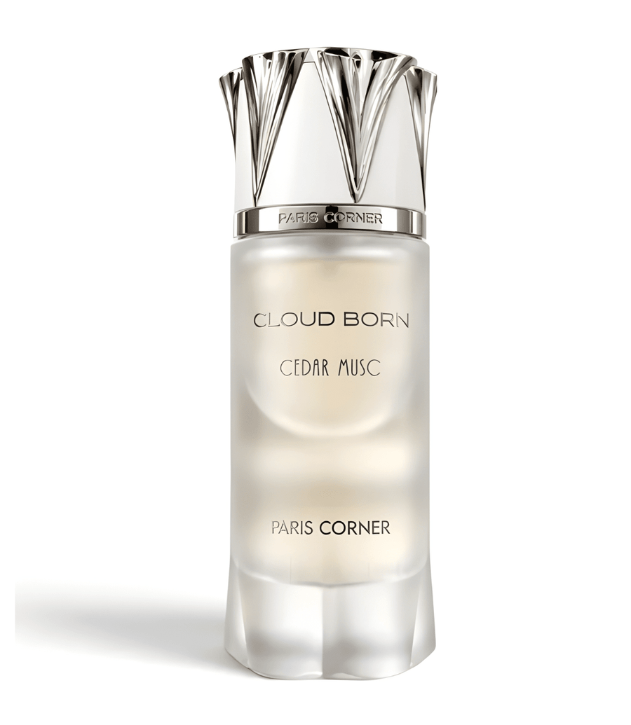 Cloud Born by PARIS CORNER Eau De Parfum – 100ML for Men and Women