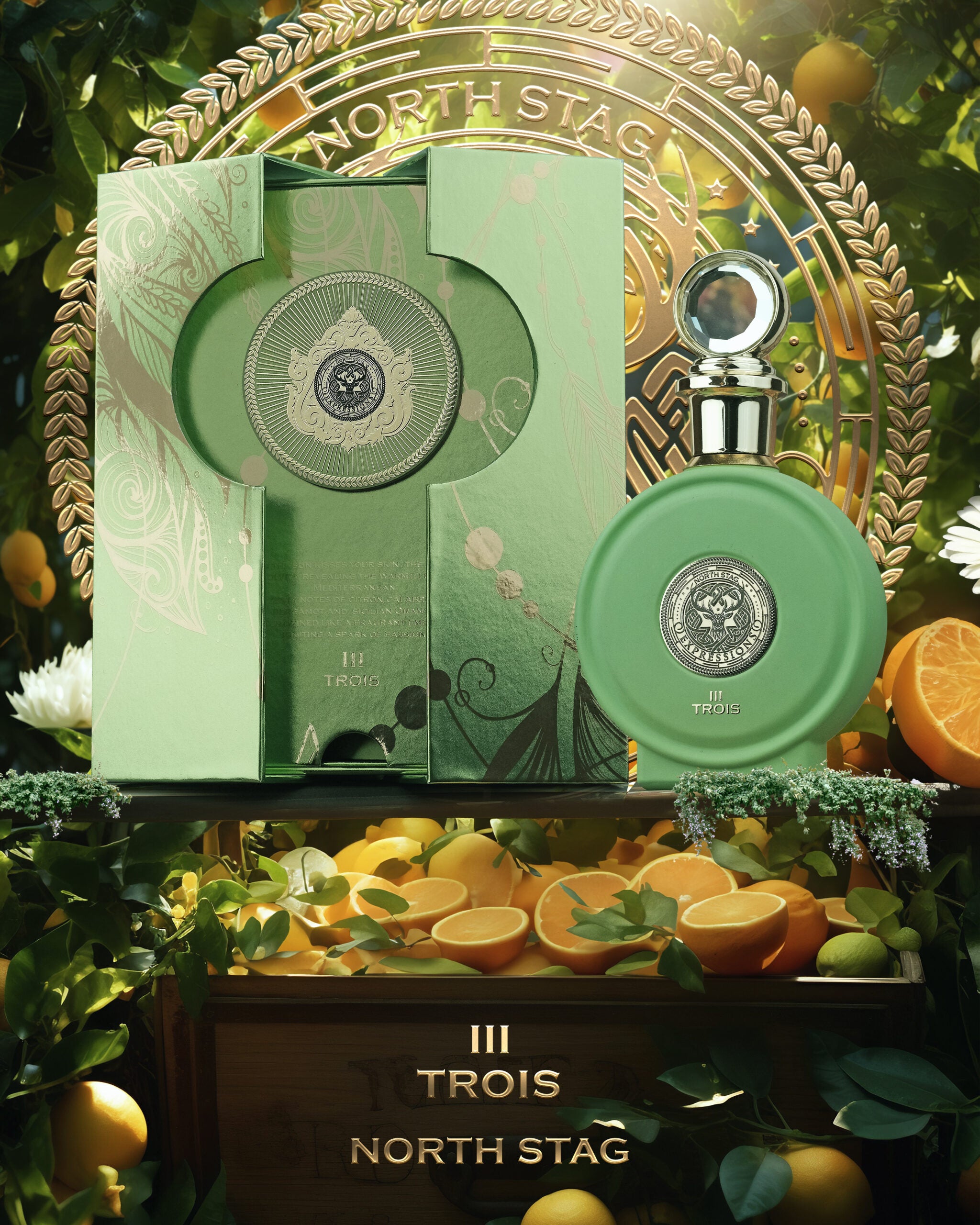 Trois III North Stag Expressions