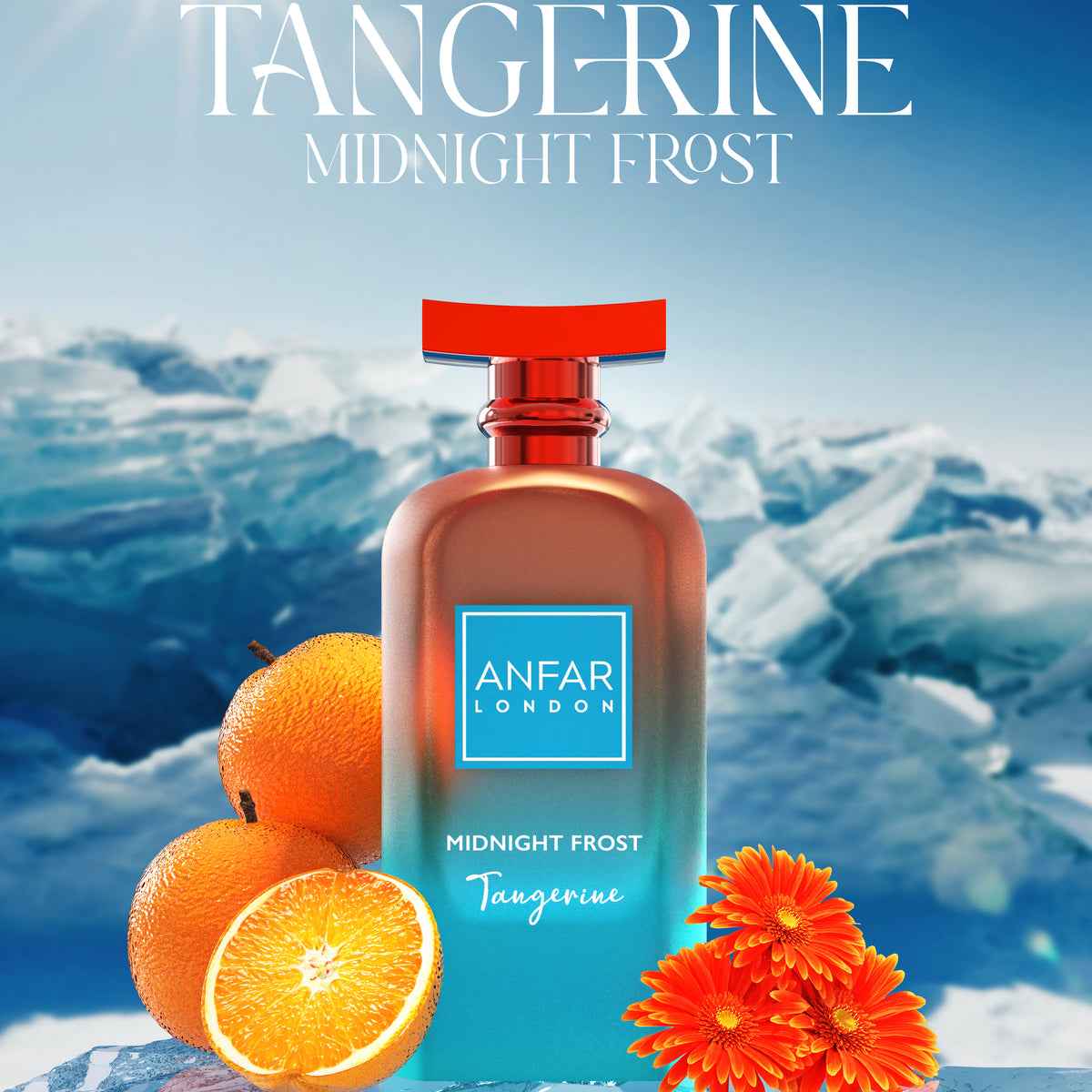 Midnight Frost Tangerine by Anfar London
